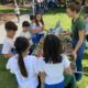 A group of children gather around a watershed model.