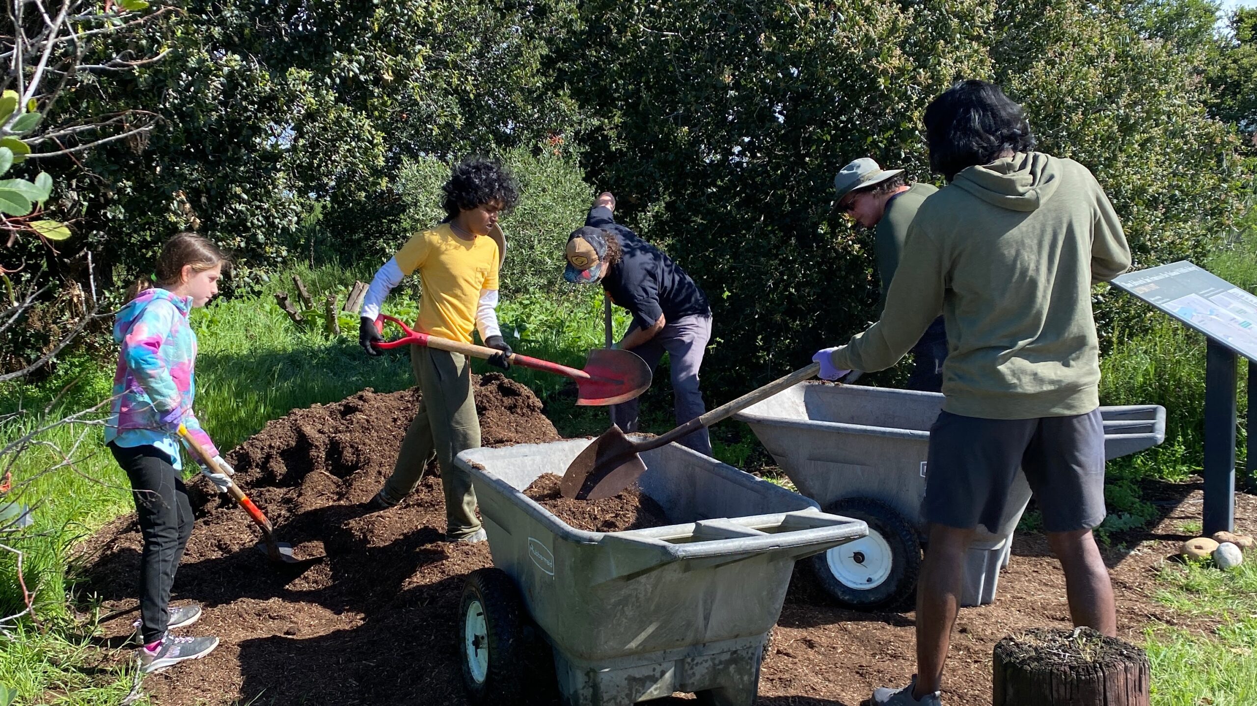 Volunteers helping mulch around the Butterfly Garden.