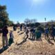 Volunteers helping with a habitat restoration work day.