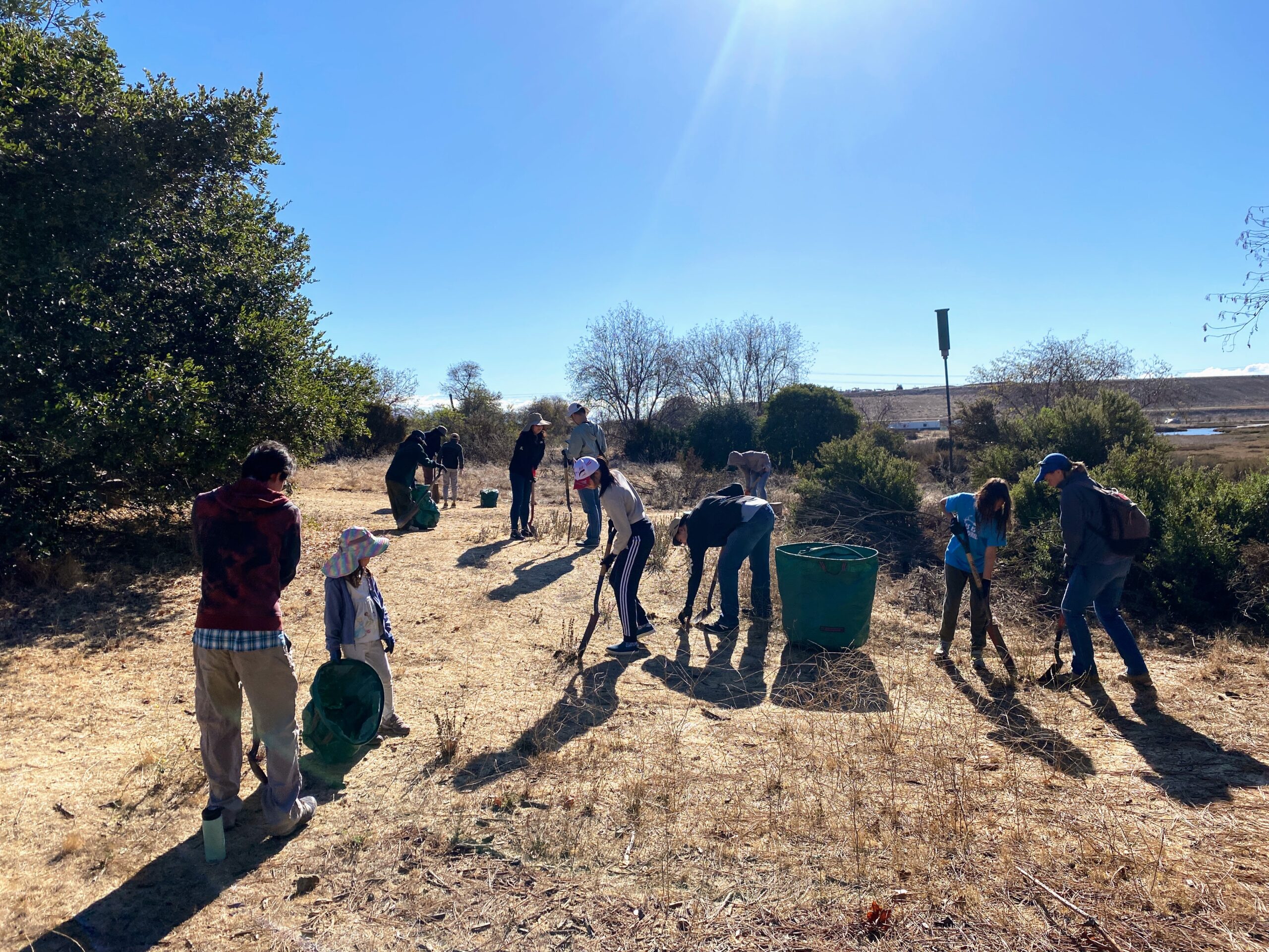 Volunteers helping with a habitat restoration work day.