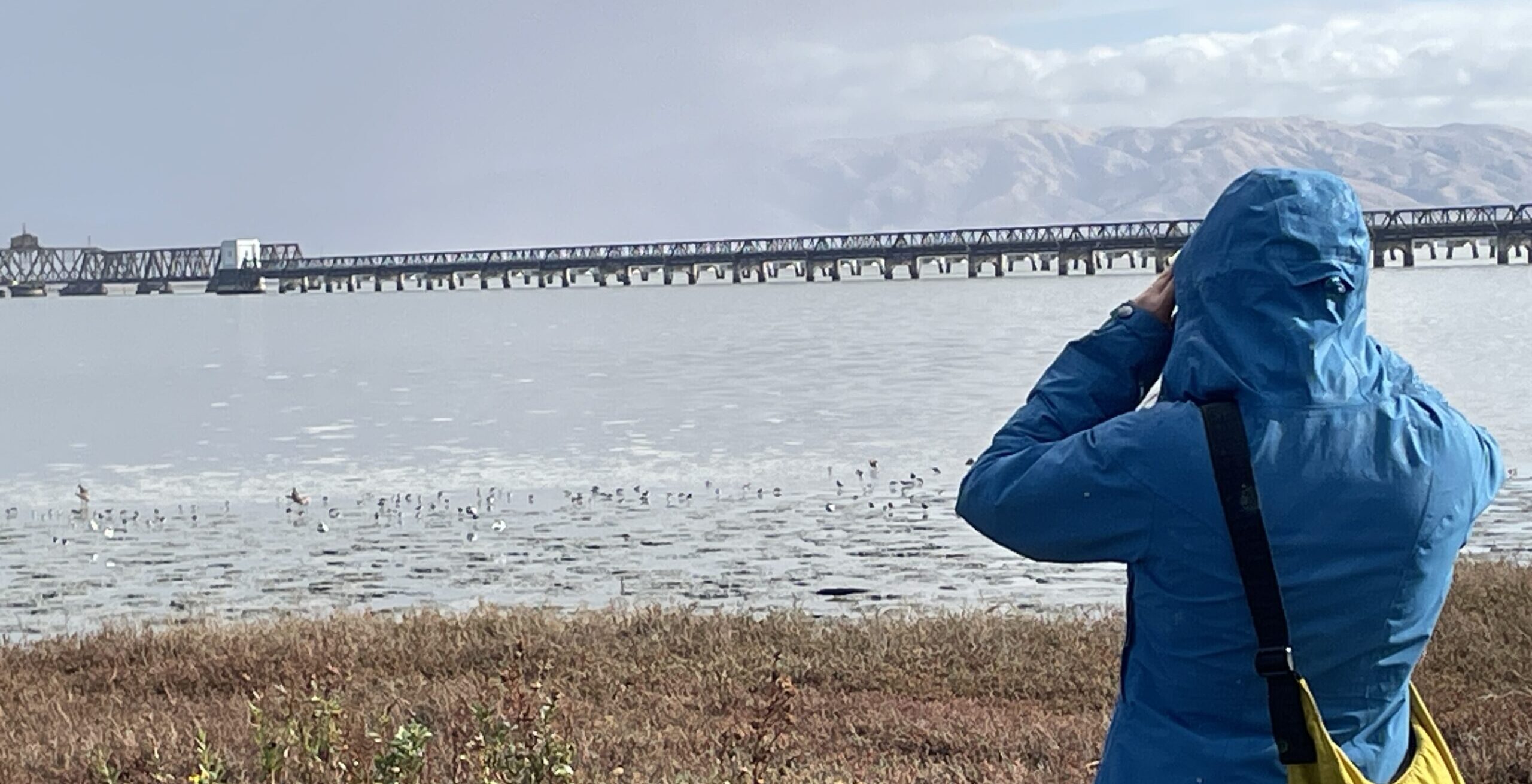 A participant peers through binoculars to view birds in the water.