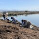 Volunteers planting on a levee in front of a salt pond.