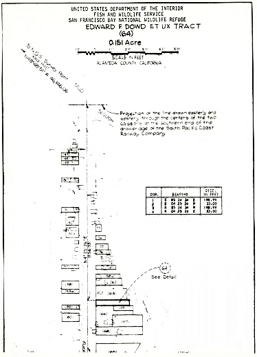 The Dowd tract at Drawbridge